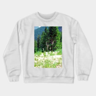 Berthoud Pass Tall Grass Crewneck Sweatshirt